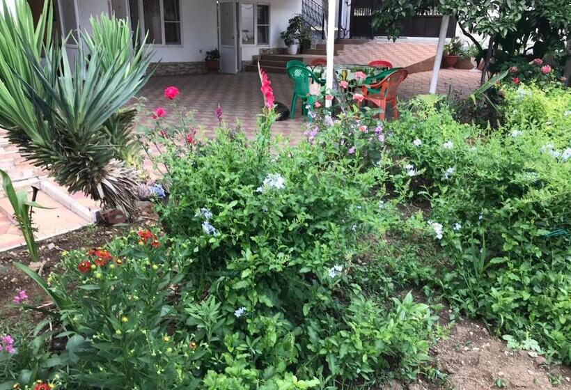 Economy Triple Room, Guest House On Demerjipa