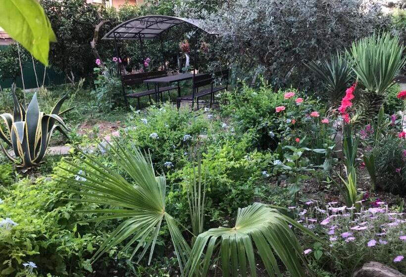 Economy Triple Room, Guest House On Demerjipa