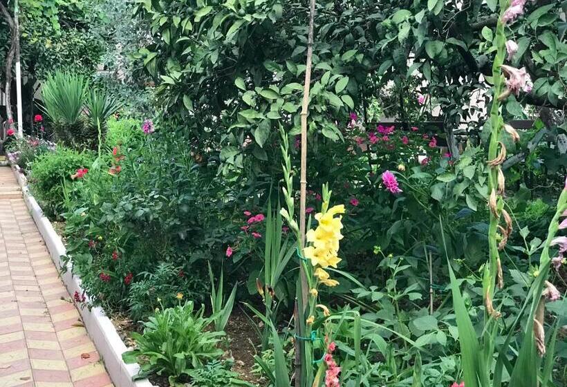 اتاق خانوادگی, Guest House On Demerjipa