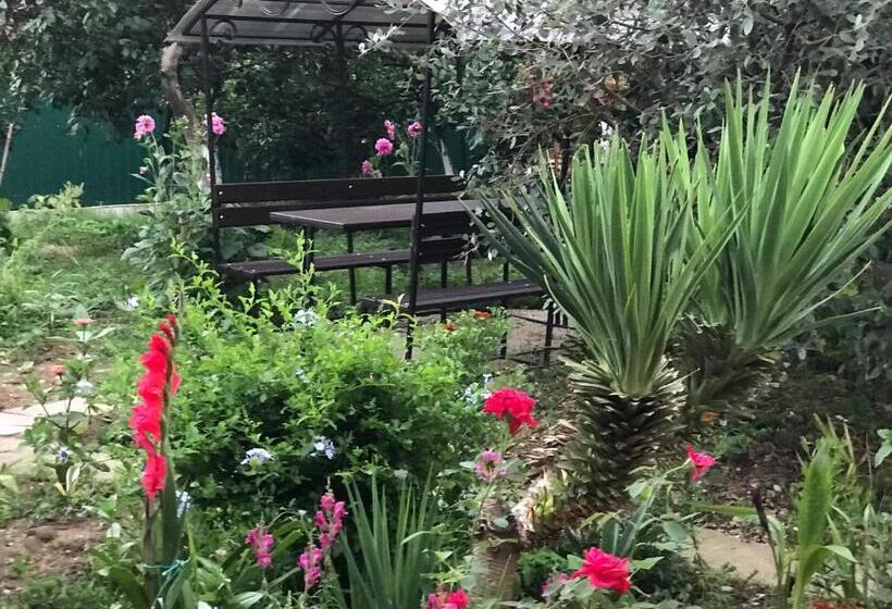 اتاق خانوادگی, Guest House On Demerjipa