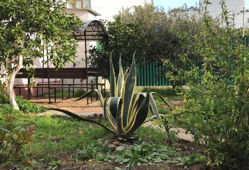 اتاق استاندارد یک نفره, Guest House On Demerjipa