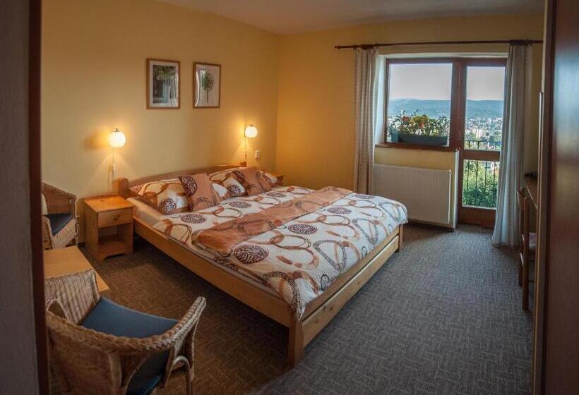 آپارتمان 1 خوابه, Pension Král