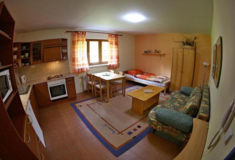 آپارتمان 1 خوابه, Pension Král