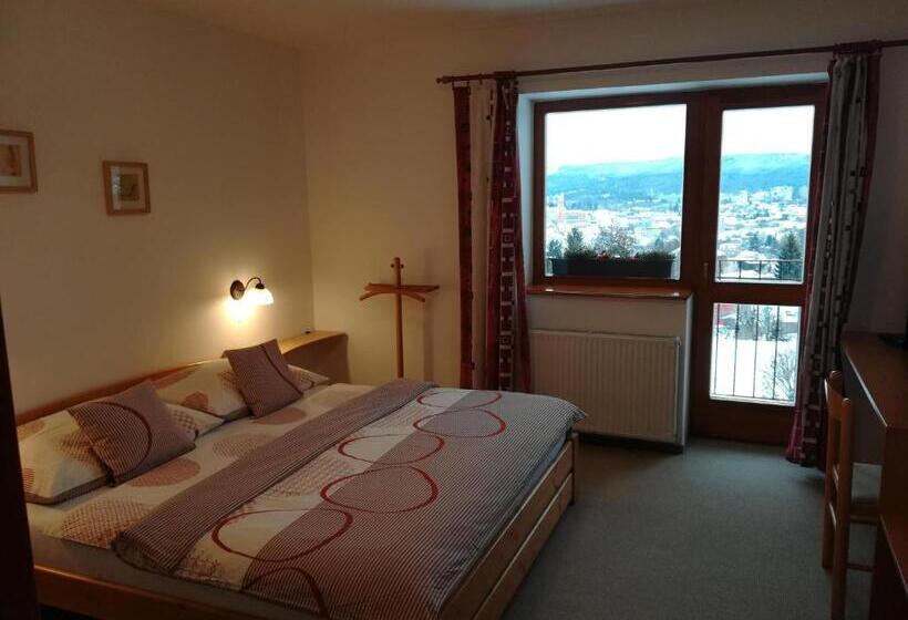 آپارتمان 1 خوابه, Pension Král