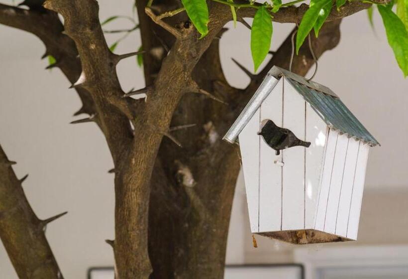 إستوديو قياسى مطلّ علي الحديقة, Rooms & Apartments Barišić