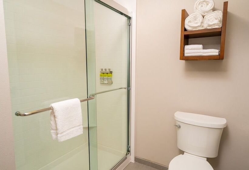 Студия Стандарт, Staybridge Suites   Nashville   Franklin, An Ihg