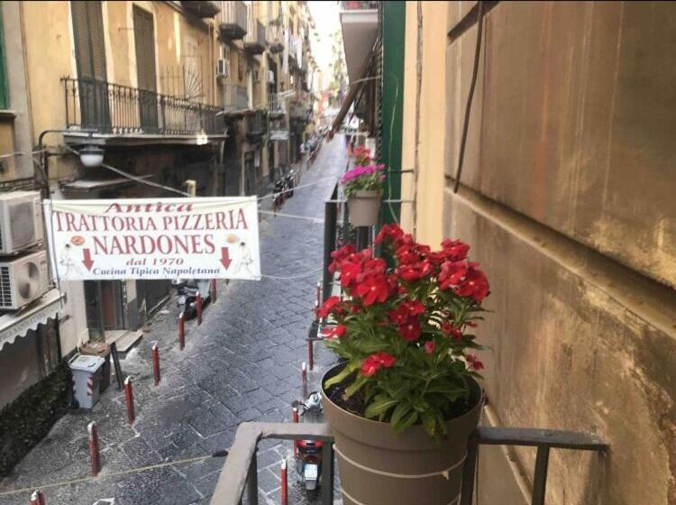 اتاق استاندارد چهار تخته, B&b Cosmoneapolitan