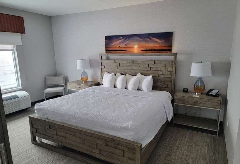 Номер Стандартный с Видом, Hampton Inn & Suites Erie Bayfront