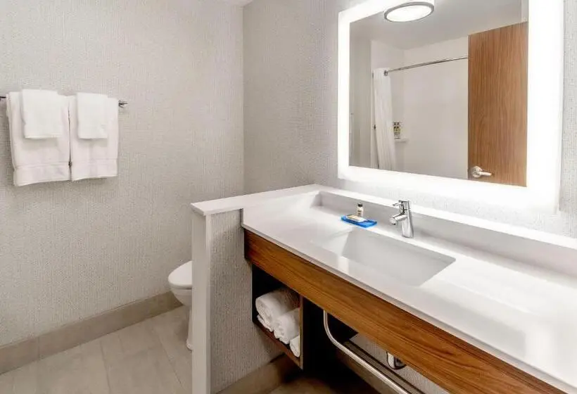 身障者適用クイーンサイズベッドルーム, Holiday Inn Express Milwaukee West Allis By Ihg