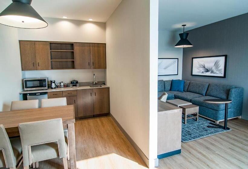 适合残疾人士使用的套间, Hyatt Place Sioux Falls South