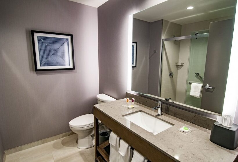 带特大床的标准间, Hyatt Place Sioux Falls South