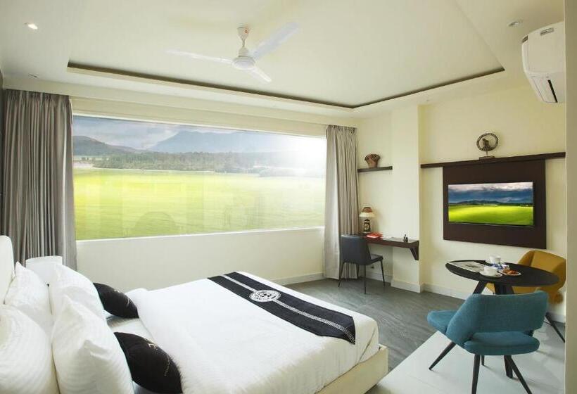 Quarto executivo, Mohan Tulip