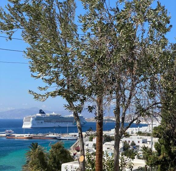 חדר סופריור לשלושה, Rania Apartments Sea View