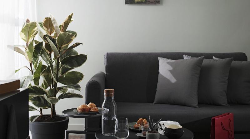 小型套房, The Gem Society