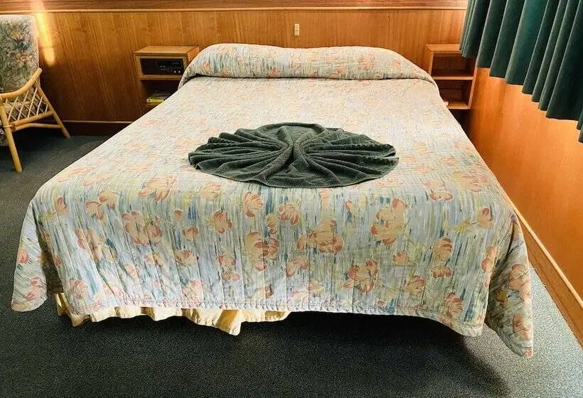 スタンダードシングルルーム, County Lodge Motor Inn