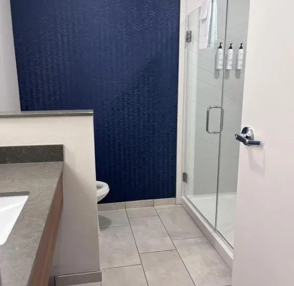 キングサイズベッドのスタンダードルーム, Fairfield Inn & Suites By Marriott Oskaloosa