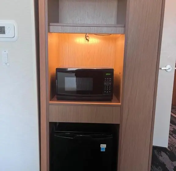 キングサイズベッドのスタンダードルーム, Fairfield Inn & Suites By Marriott Oskaloosa