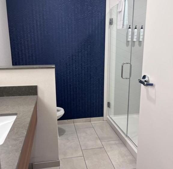 스위트 킹사이즈 침대, Fairfield Inn & Suites By Marriott Oskaloosa