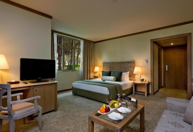 סוויטת ג'וניור, Gloria Verde Resort