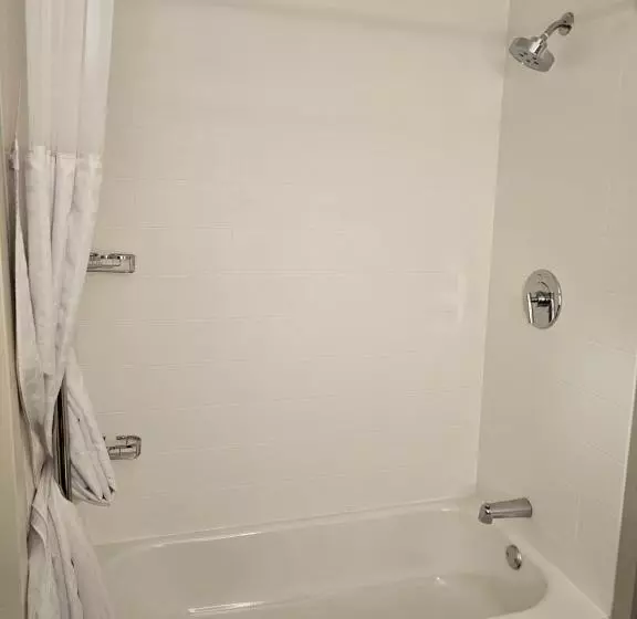 スイート, Springhill Suites By Marriott Freeport Brunswick