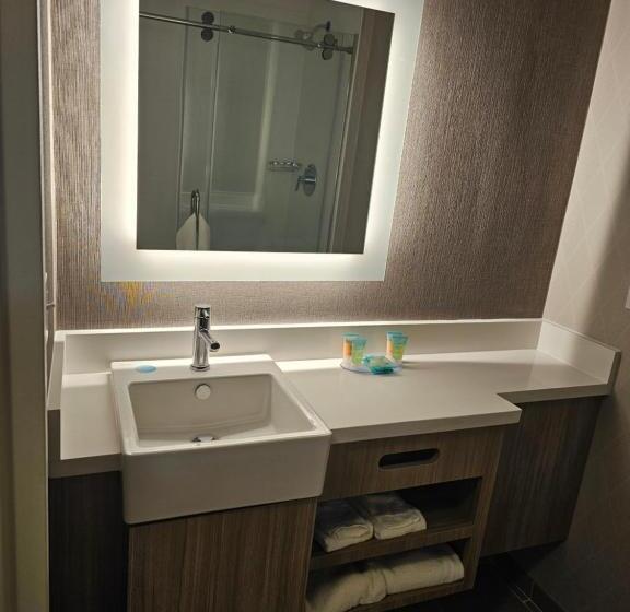 Люкс, Springhill Suites By Marriott Freeport Brunswick