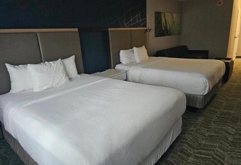 Люкс, Springhill Suites By Marriott Freeport Brunswick