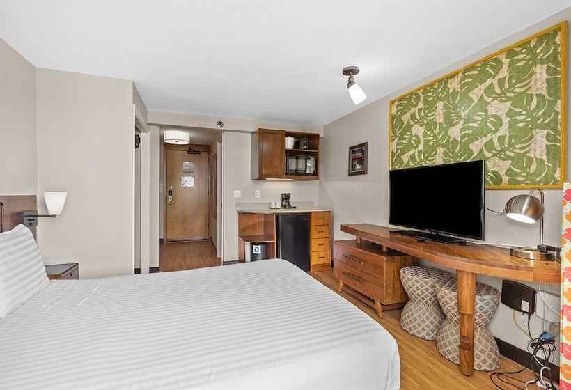 带城市景观的标准间, Castle Bamboo Waikīkī