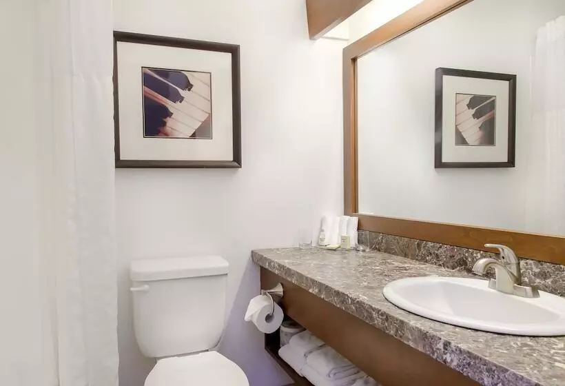 اتاق استاندارد با 2 تخت دوبل, Coastal Inn Moncton/ Dieppe