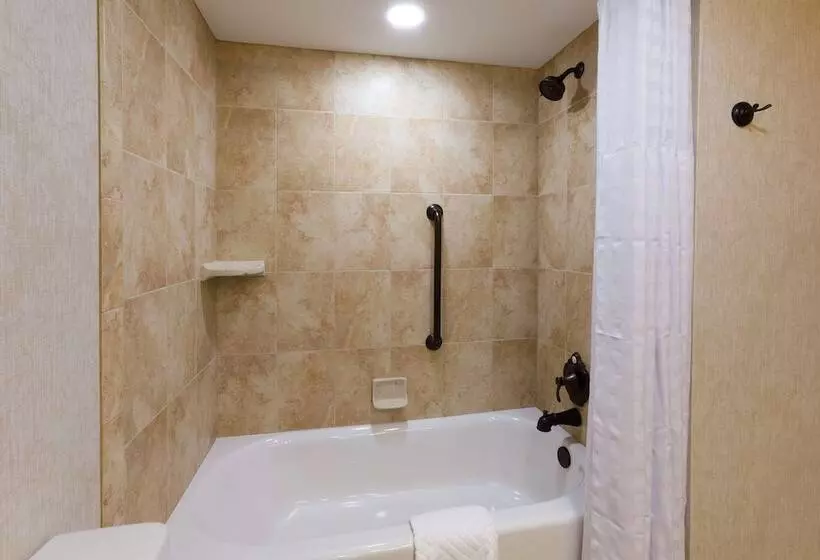 身障者適用キングサイズベッドルーム, Doubletree By Hilton Hotel St. Augustine Historic District