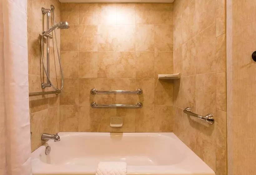 身障者適用キングサイズベッドルーム, Doubletree By Hilton Hotel St. Augustine Historic District