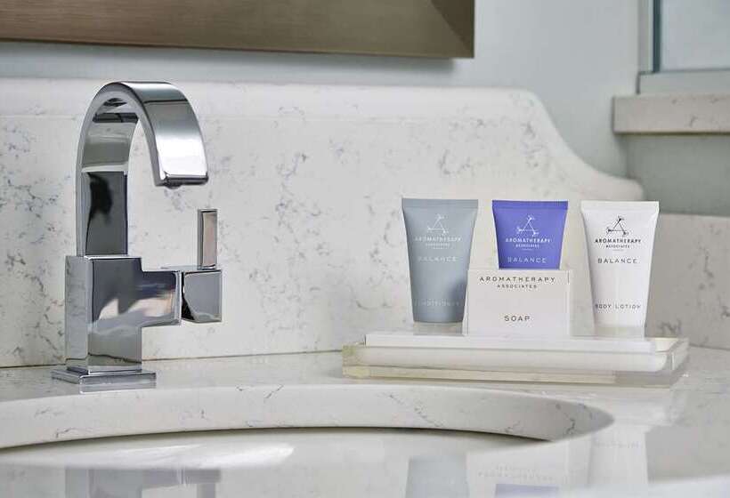 اتاق استاندارد با 2 تخت دوبل, Hilton New Orleans/st. Charles Avenue