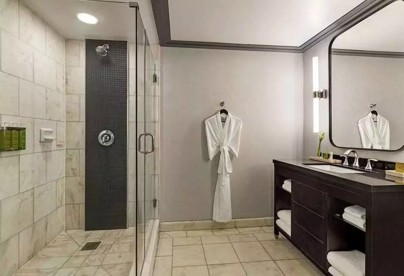 اتاق استاندارد با 2 تخت دوبل, Hilton New Orleans/st. Charles Avenue