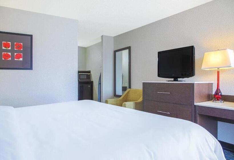 장애인을 위한 킹사이즈 침대 스탠다드 룸, My Homes Macon North I 75