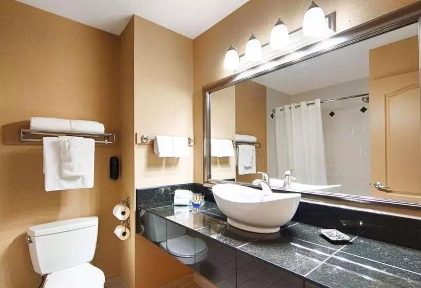 اتاق استاندارد با تخت بزرگ, Prestige Radium Hot Springs Resort, Worldhotels Crafted