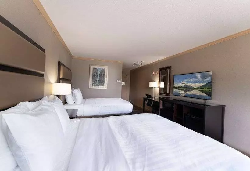 اتاق استاندارد با 2 تخت دوبل, Prestige Radium Hot Springs Resort, Worldhotels Crafted