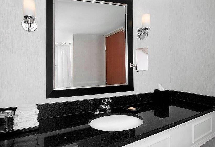 Номер Стандарт Двуспальная Кровать с Видом, Sheraton Fallsview