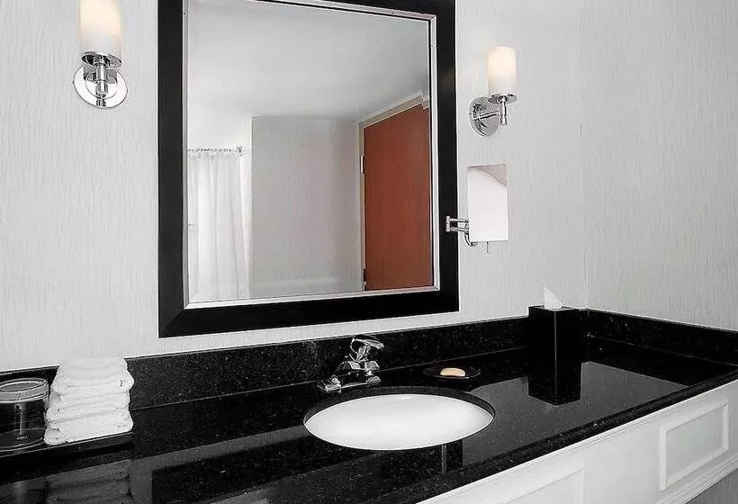 اتاق استاندارد با تخت دوبل و چشم‌انداز, Sheraton Fallsview