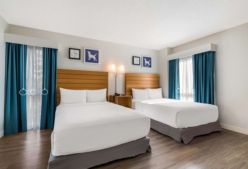 سوئیت 2 خوابه, Sonesta Es Suites Orlando International Drive