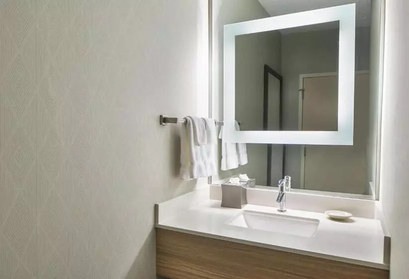 スタンダードスタジオ, Springhill Suites Memphis Downtown