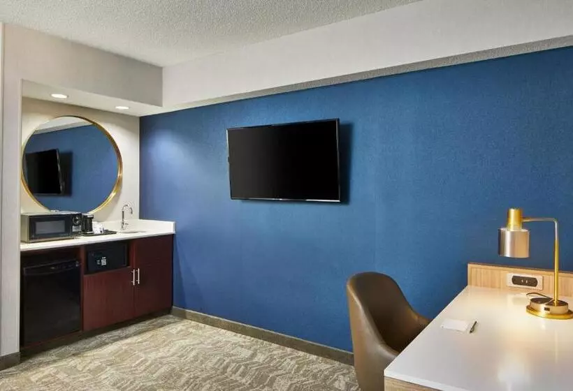 スタンダードスタジオ, Springhill Suites Memphis Downtown