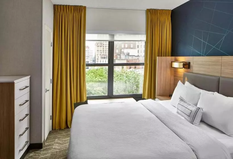 キングサイドベッドのスタンダードワンルーム, Springhill Suites Memphis Downtown