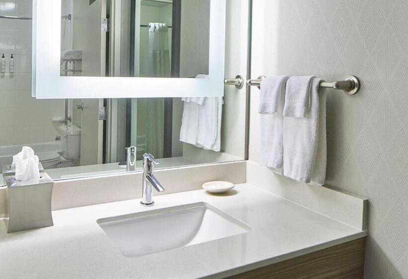 스탠다드 스튜디오 더블 침대, Springhill Suites Memphis Downtown