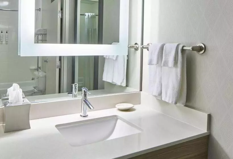 ダブルベッドのスタンダードスタジオ, Springhill Suites Memphis Downtown