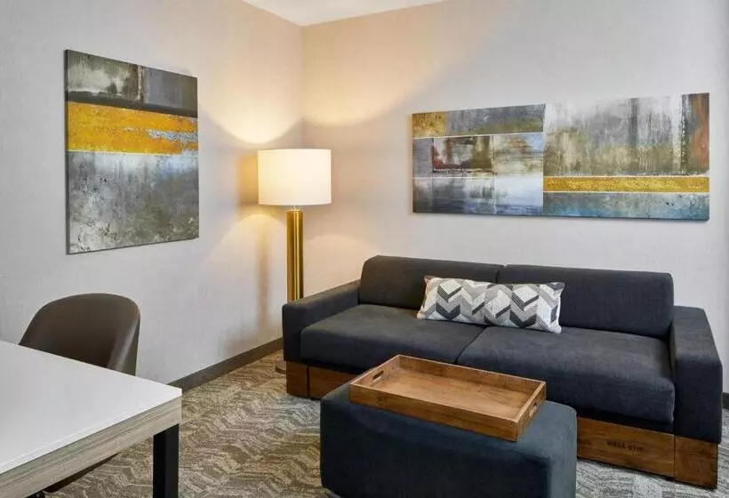 ダブルベッドのスタンダードスタジオ, Springhill Suites Memphis Downtown