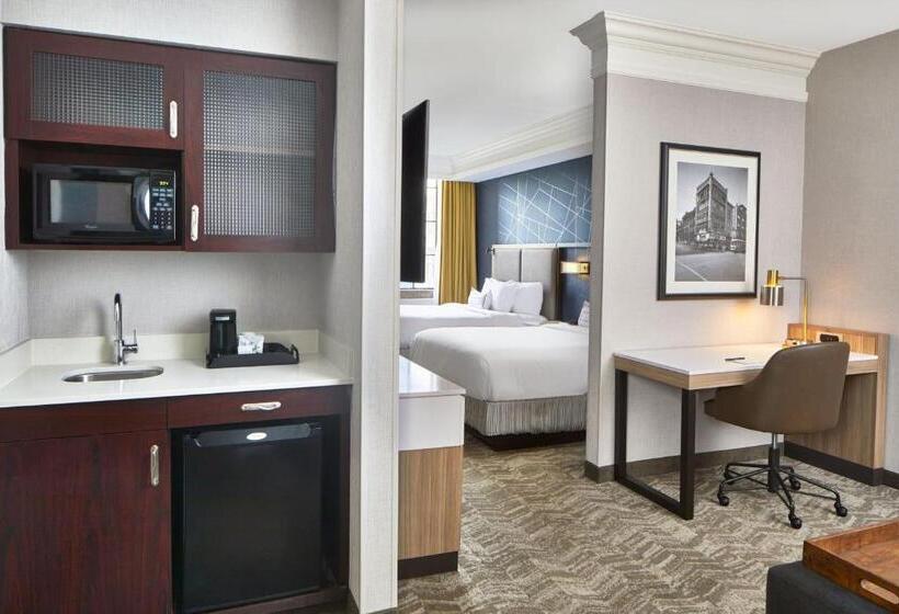 스탠다드 스튜디오 더블 침대, Springhill Suites Memphis Downtown
