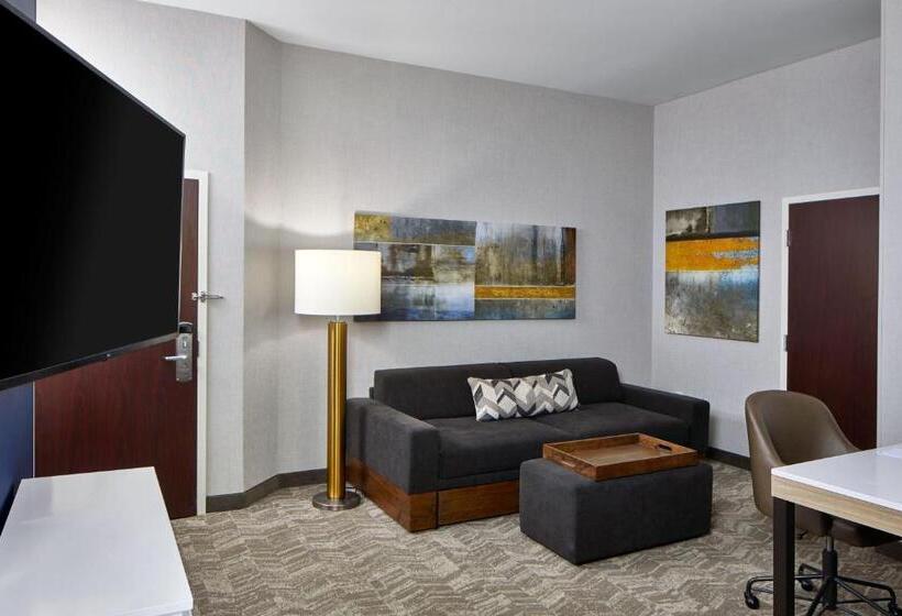 스탠다드 스튜디오 더블 침대, Springhill Suites Memphis Downtown