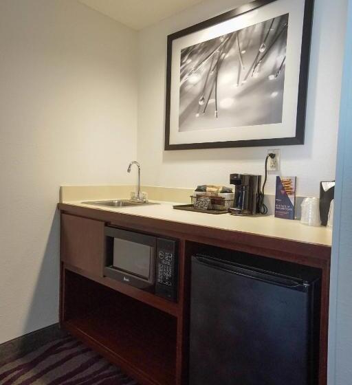 带大床的套房, Springhill Suites By Marriott Savannah Midtown