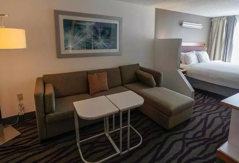 キングサイズベッドのスイートルーム, Springhill Suites By Marriott Savannah Midtown