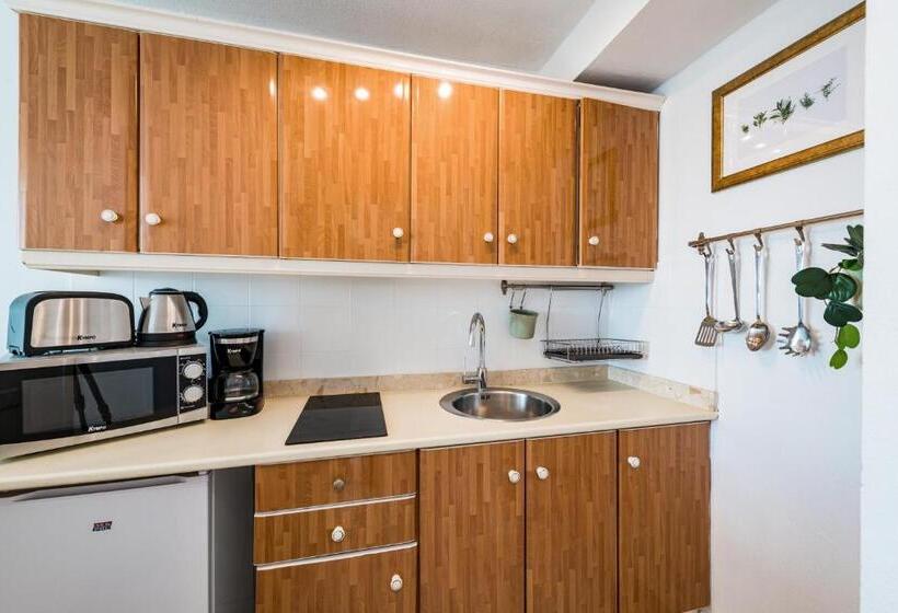 Апартаменты 1 Спальня, Roca Verde Playa del Inglés