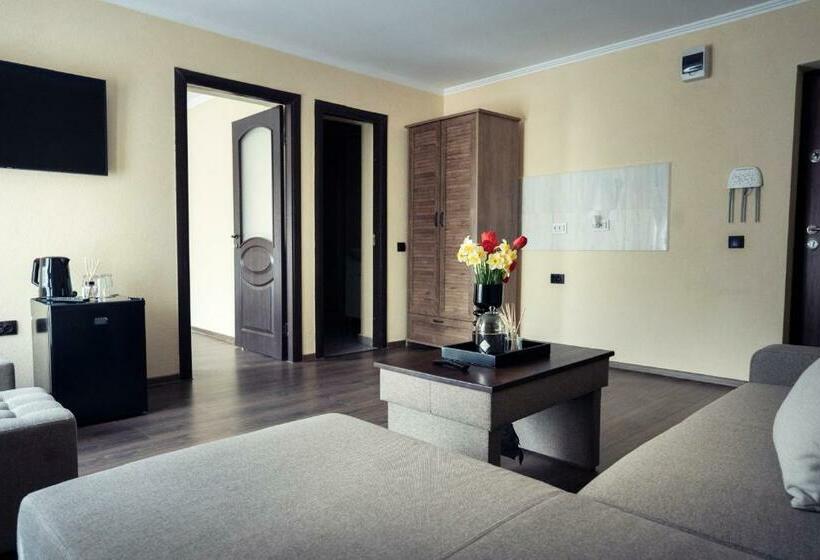 شقة غرفة واحدة, London Apartments Vaslui